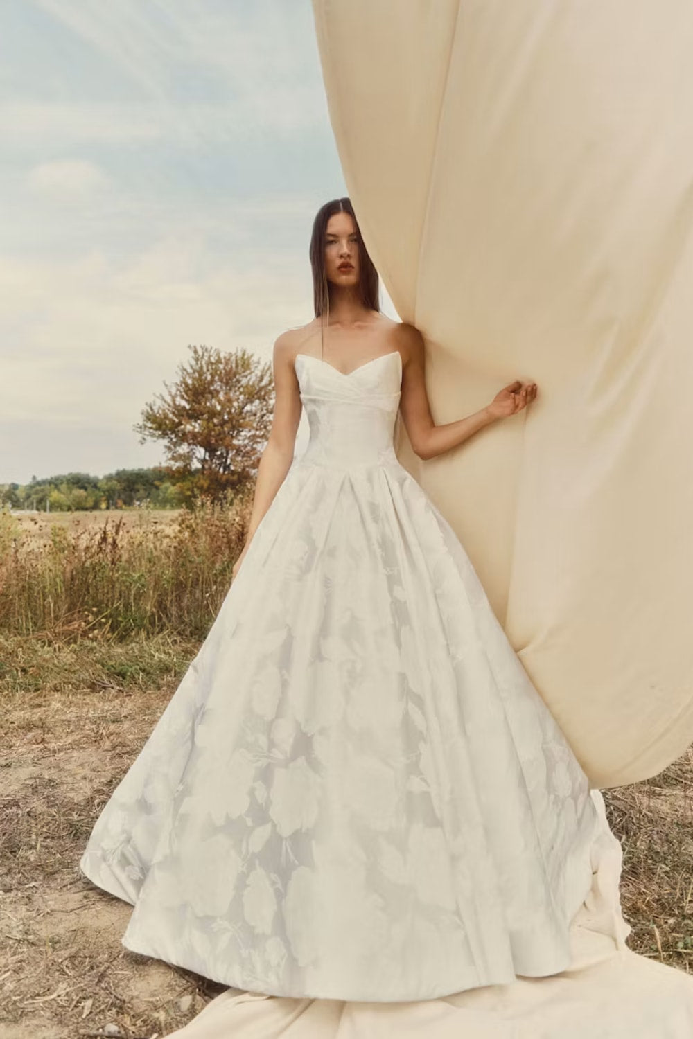 Modern Strapless V-Neck Ballgown by Alyne by Rita Vinieris — image 1 of 3