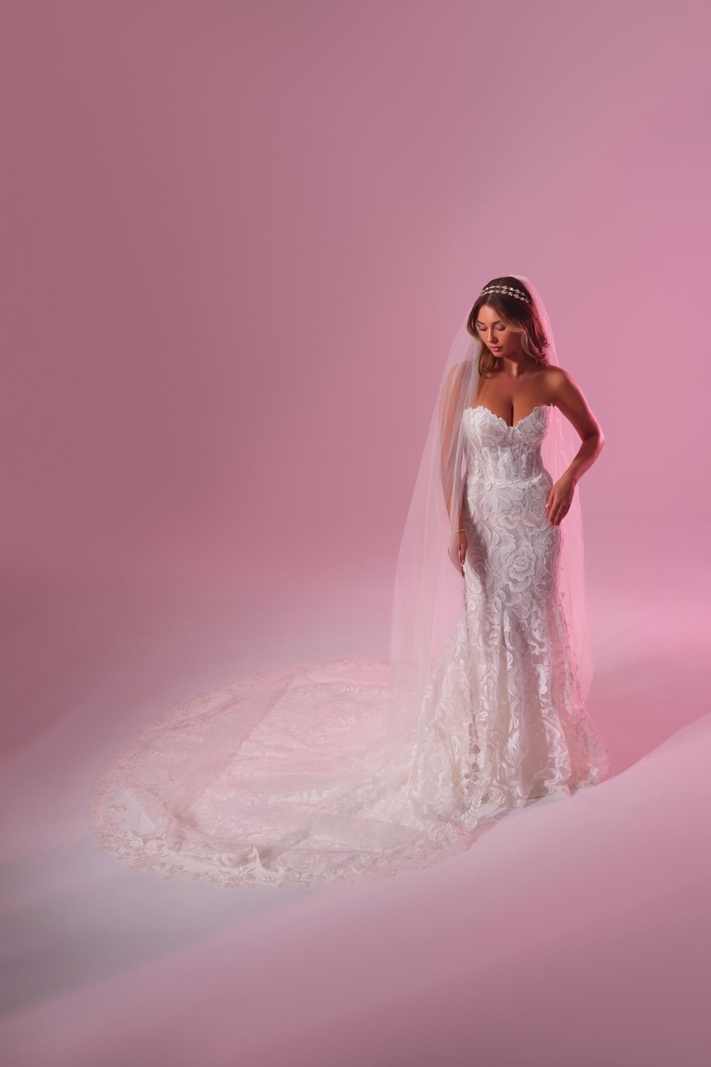 Ethereal Lace Cathedral Length Veil by Christie Lauren — image 1 of 2