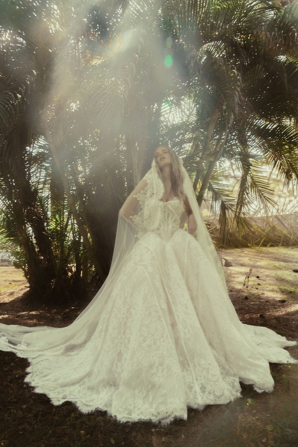 Classic and Romantic Lace Basque Waist Ball Gown by Hayley Paige — image 4 of 5