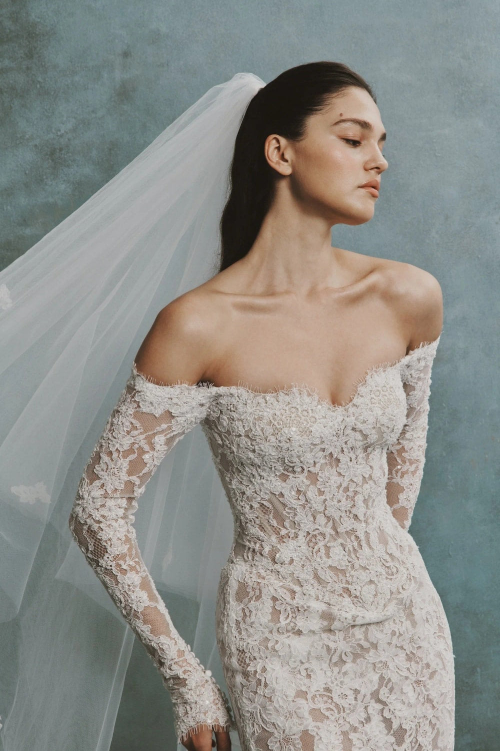 Senstudio Off-the-Shoulder Lace Fit-and-Flare Gown