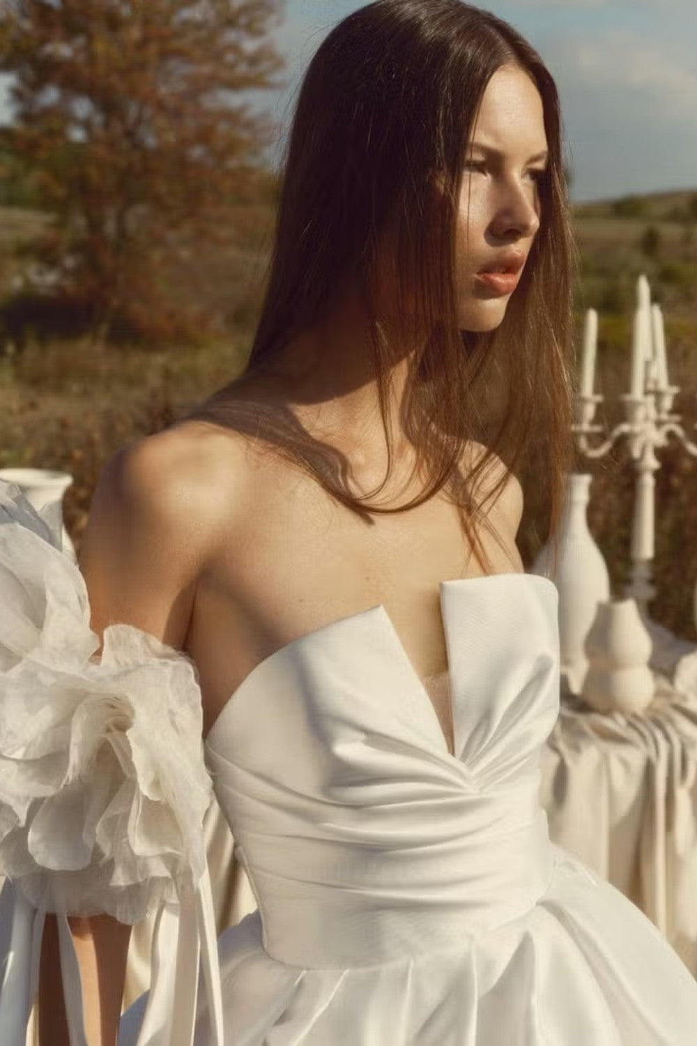 Draped Sweetheart Ball Gown With Voluminous Pleated Skirt by Alyne by Rita Vinieris β image 3 of 4
