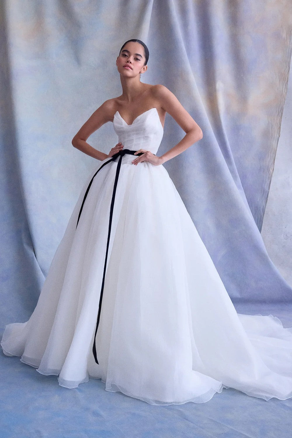 Romantic And Ethereal Silk Organza Drop-Waist Ball Gown by Ines by Ines Di Santo — image 1 of 2
