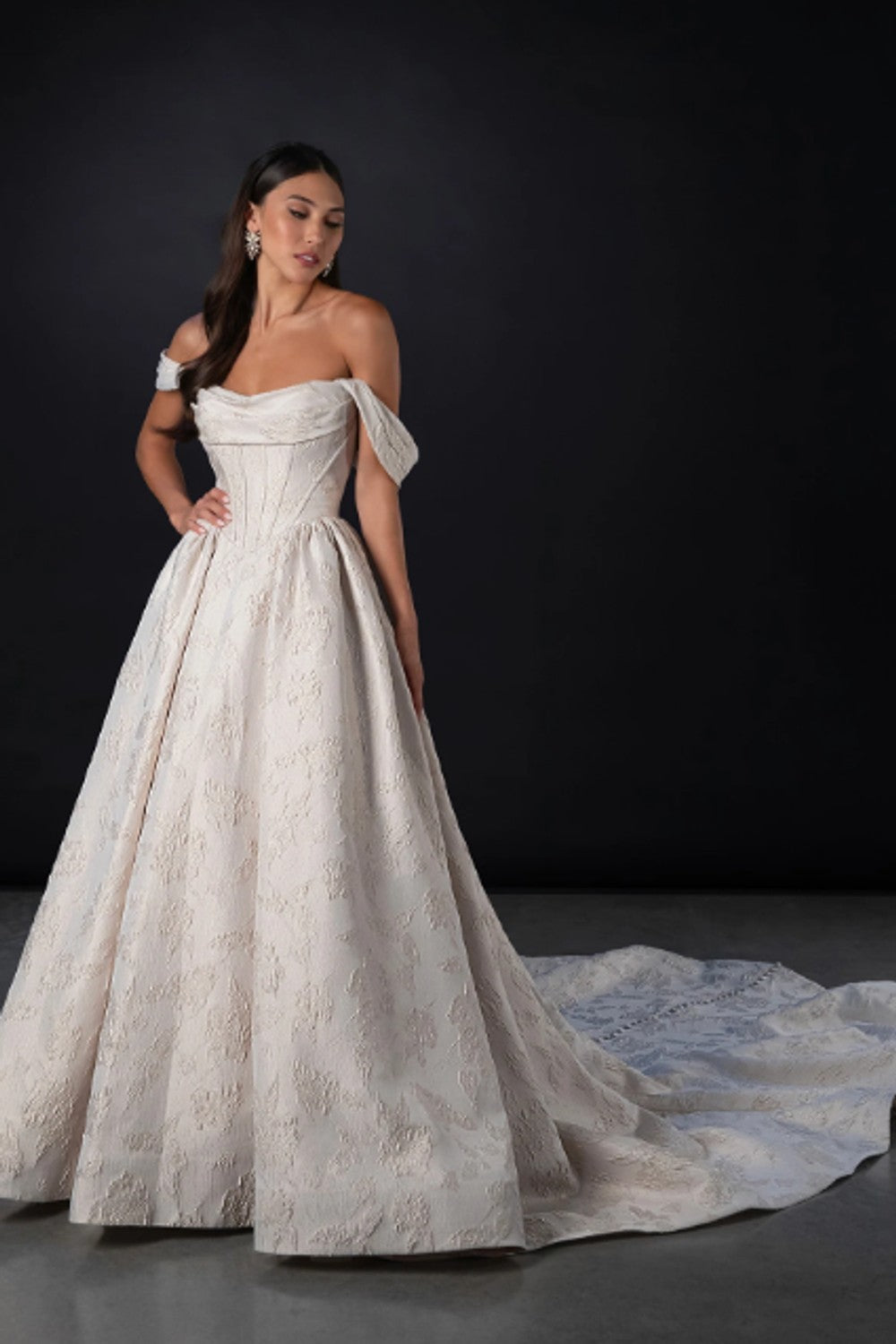 Elegant Regal Basque-Waist Jacquard Ball Gown With Buttons Plus Size by Martina Liana — image 1 of 2