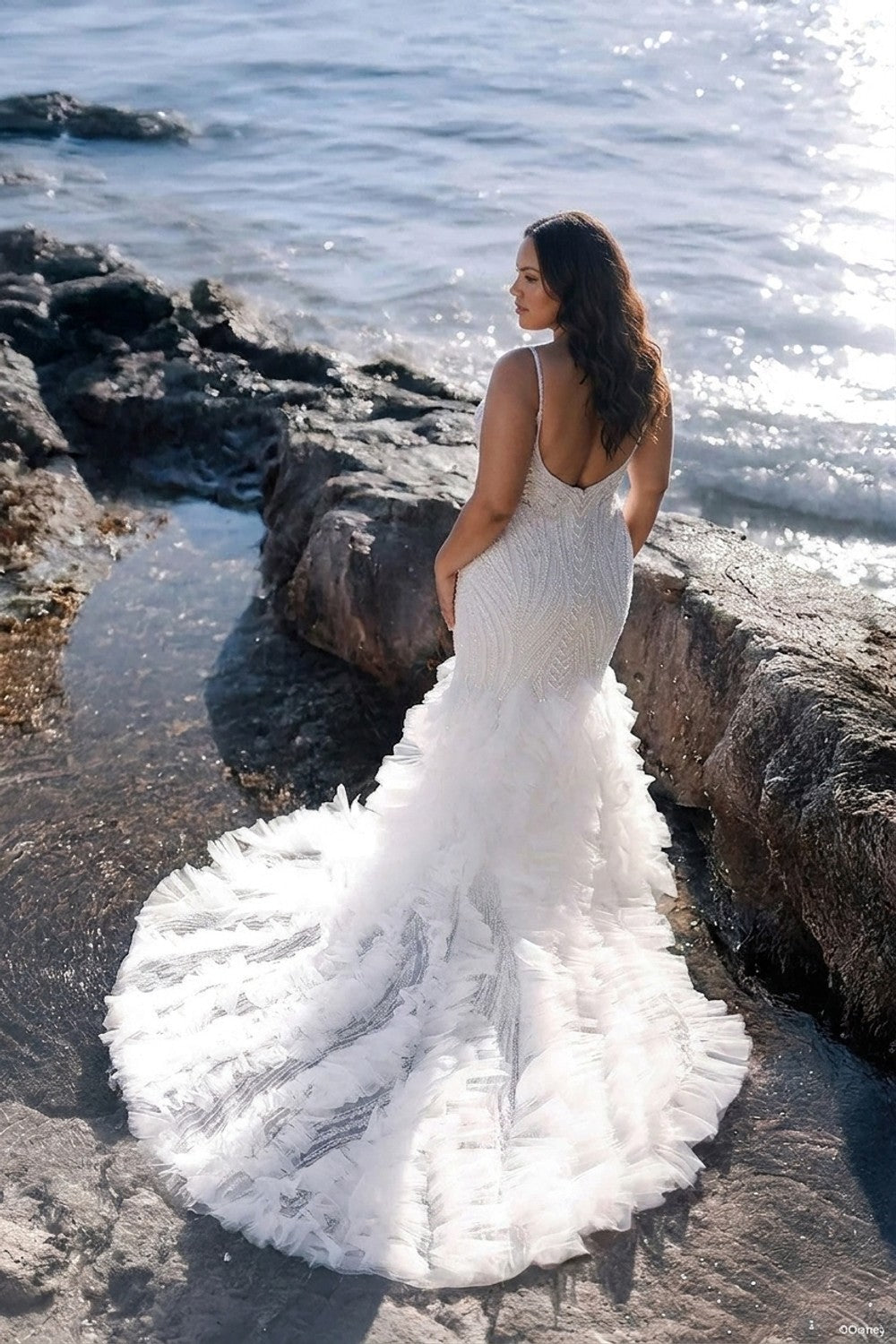 Plus-Size Shimmering Fit-And-Flare Wedding Dress With Ruffled Tulle Skirt β plus-size render