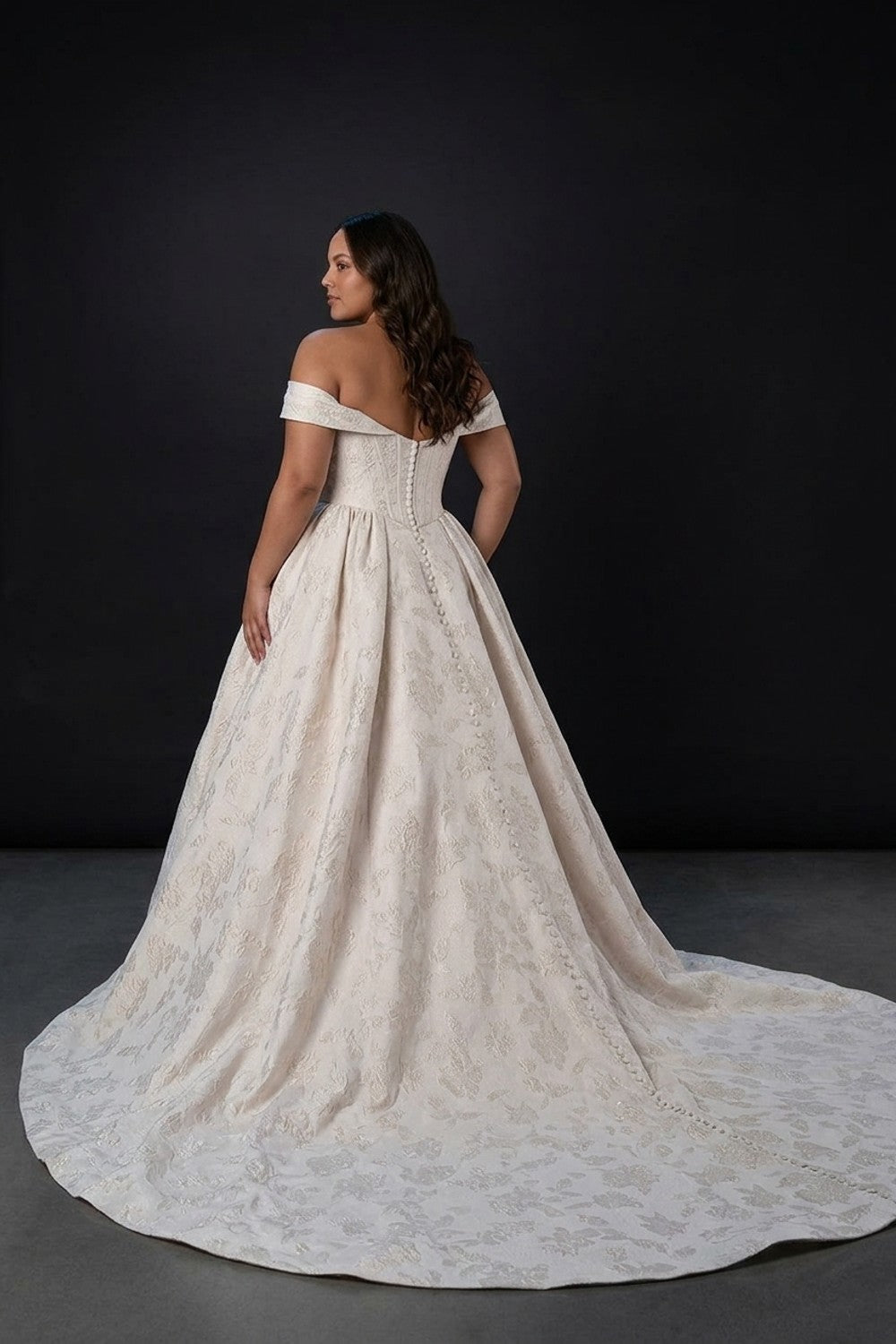 Elegant Regal Basque-Waist Jacquard Ball Gown With Buttons Plus Size — plus-size render
