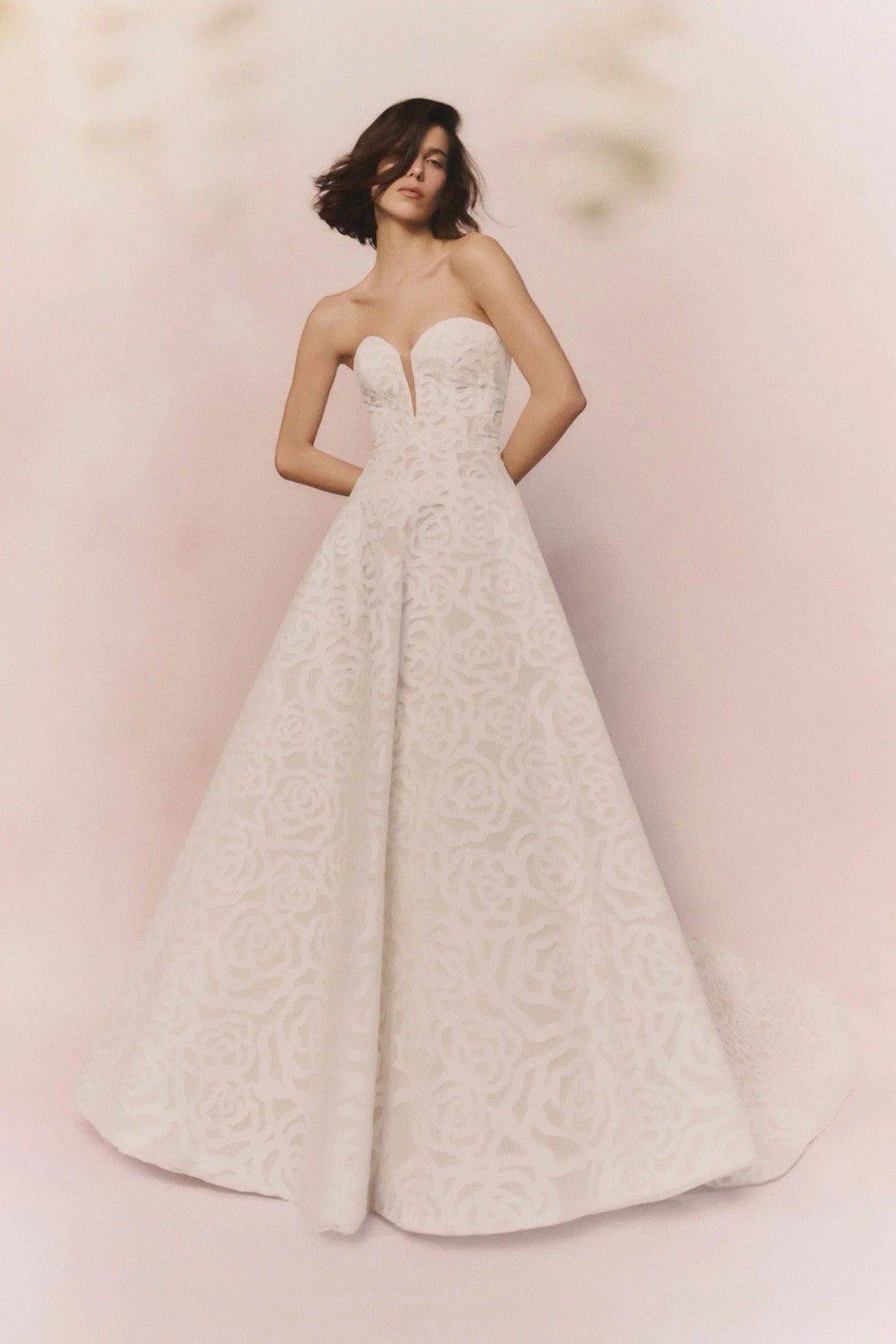 Artistic Rose-Lace A-Line Wedding Dress by Pronovias — image 1 of 3