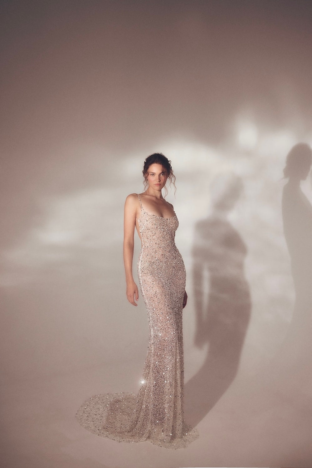 Sparkly Sexy Sheath Wedding Dress with Feathered Stole by Pnina Tornai — image 1 of 4
