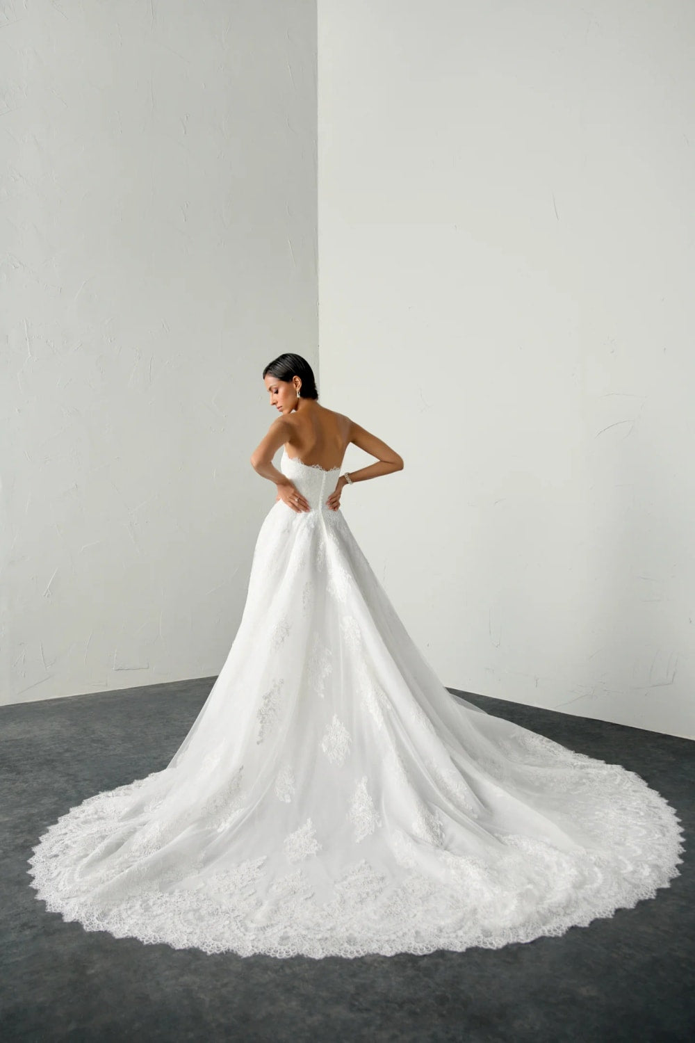 Plus-Size Strapless Lace A-Line Wedding Dress with Scalloped Lace Neckline by Justin Alexander Signature — image 3 of 3
