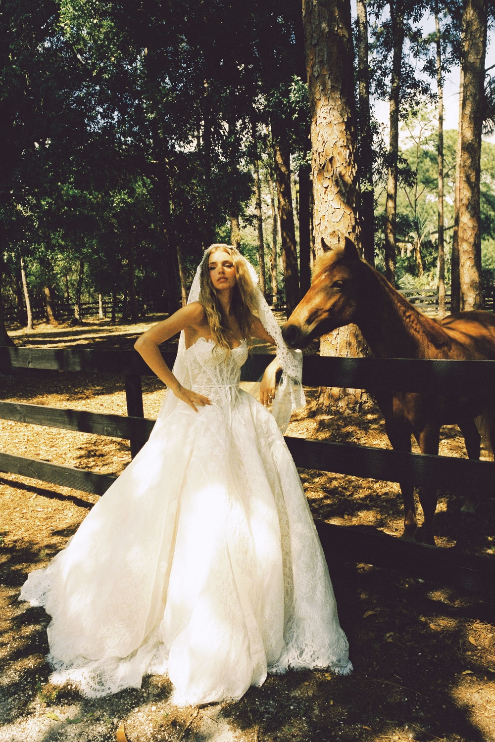 Classic and Romantic Lace Basque Waist Ball Gown by Hayley Paige — image 2 of 5