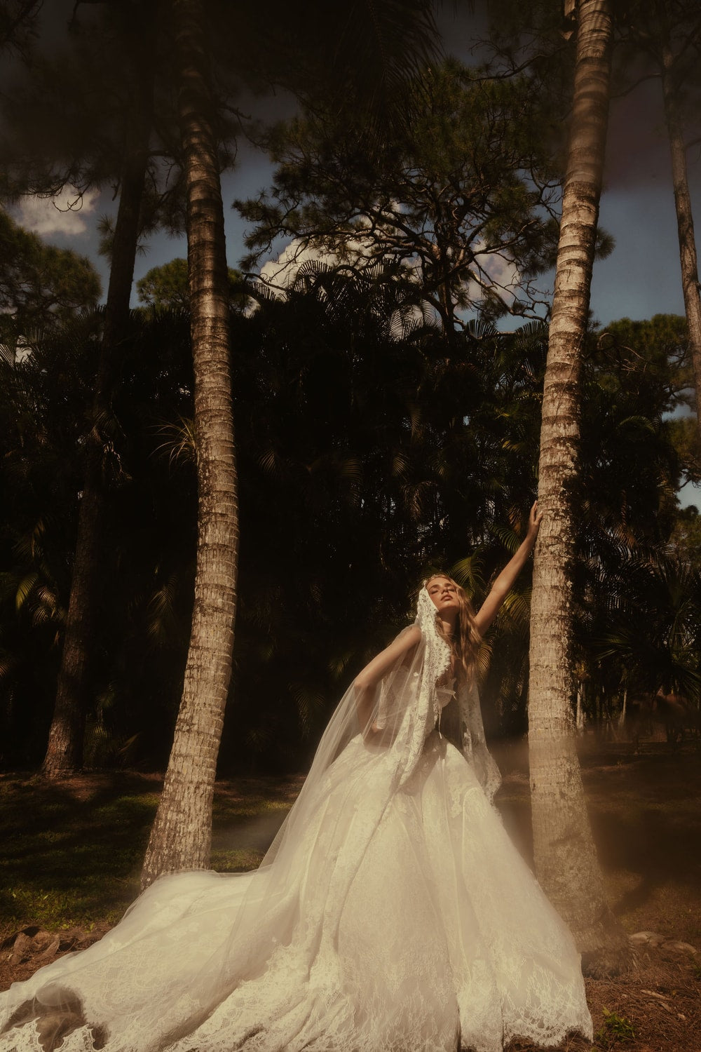 Classic and Romantic Lace Basque Waist Ball Gown by Hayley Paige — image 5 of 5