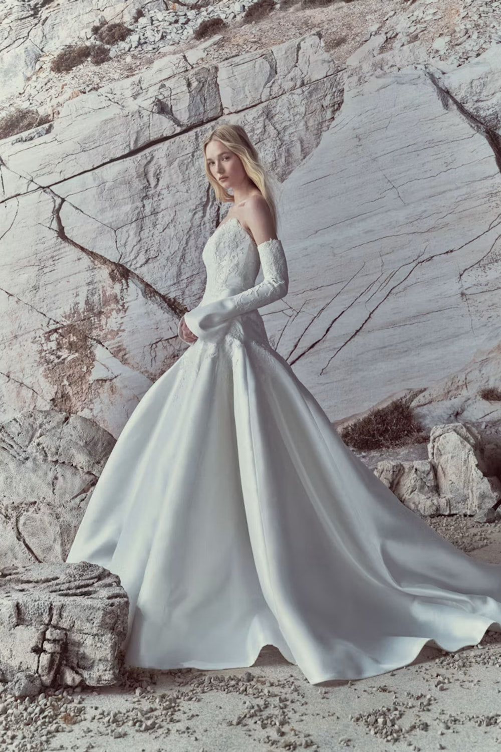 Strapless Drop Waist Ball Gown with Detailed Bodice by Rivini — image 2 of 3
