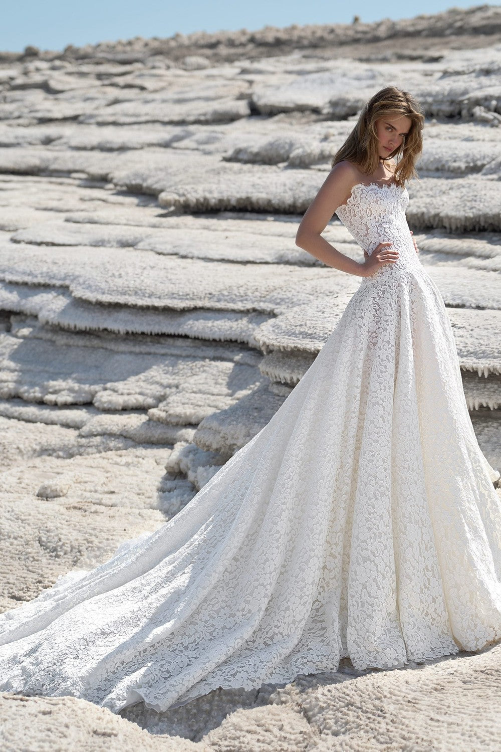 Strapless Drop-Waist Lace Ball Gown by Lee Petra Grebenau — image 1 of 2