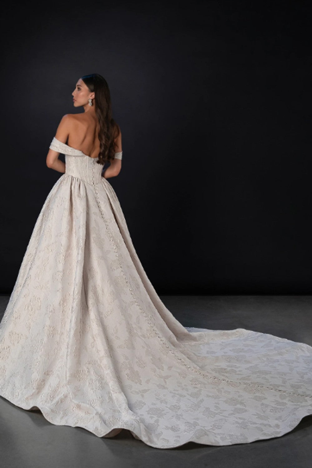 Elegant Regal Basque-Waist Jacquard Ball Gown With Buttons Plus Size by Martina Liana — image 2 of 2