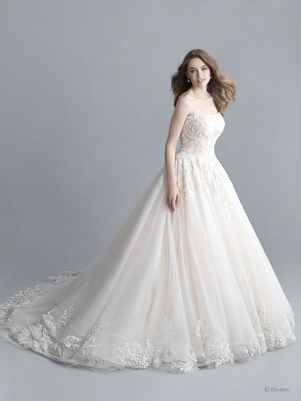 princess wedding gowns with sparkles
