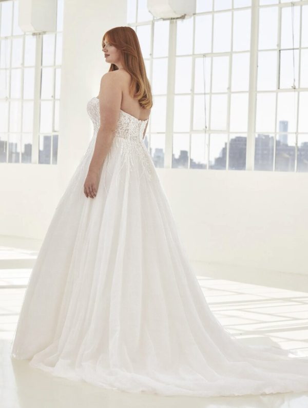 pronovias open back wedding dress