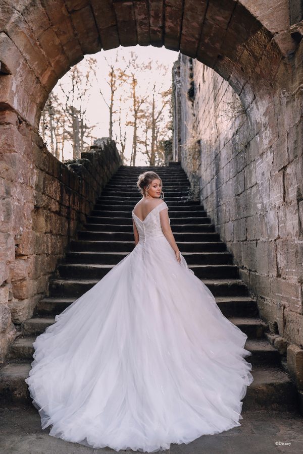 sparkly bodice wedding dress