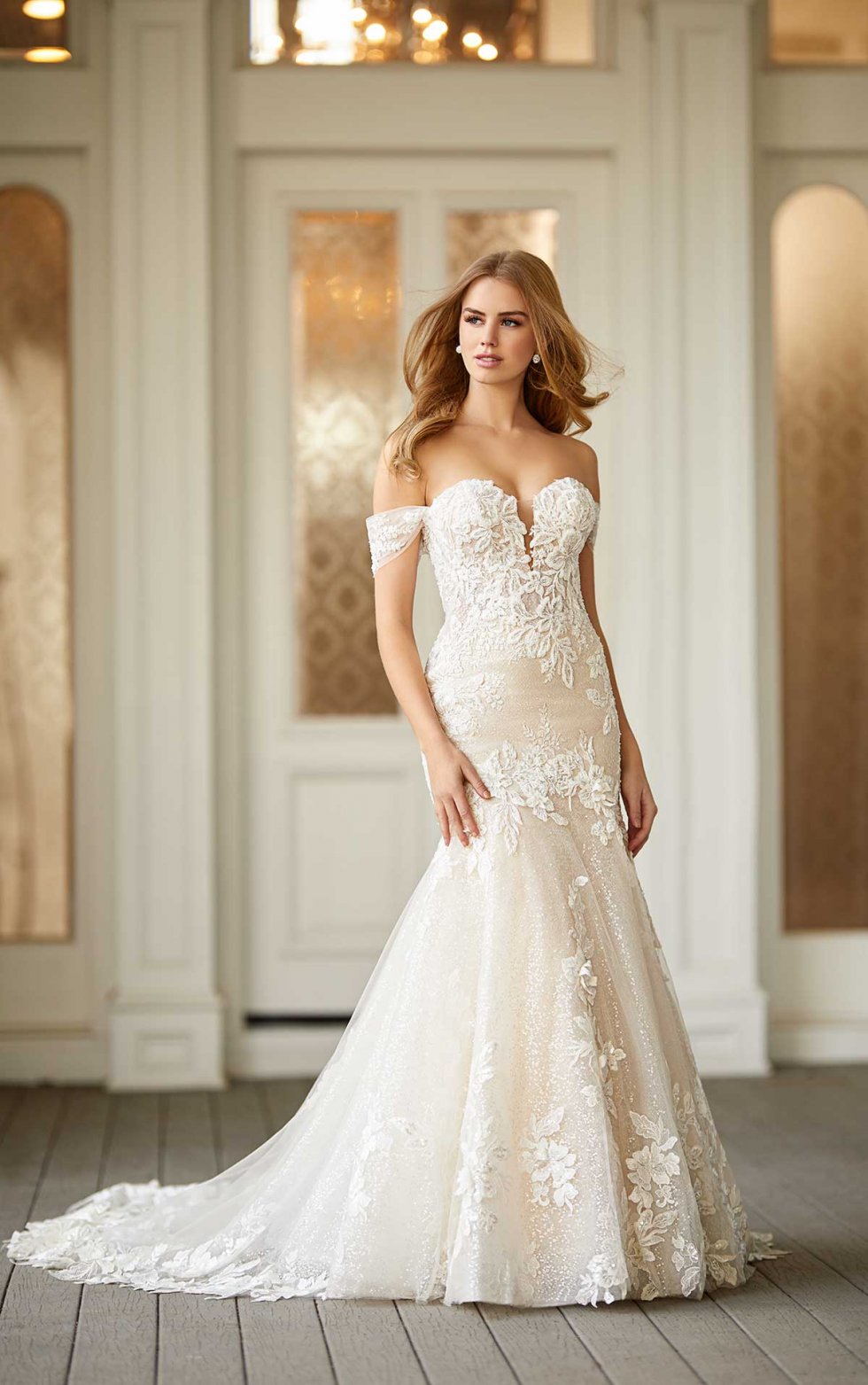 Romantic And Modern Lace A-line Gown
