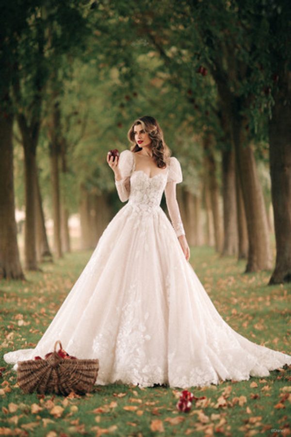 Modest Wedding Dresses: 25 Looks + FAQs | Modest wedding dresses, Modest wedding  dresses with sleeves, Wedding dress guide