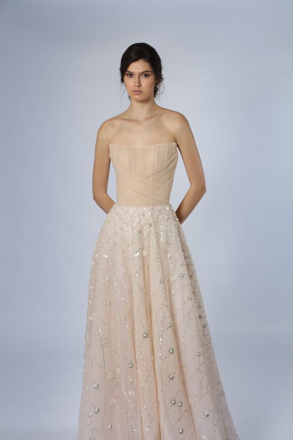 Blush A-Line Wedding Dress With Silver Embroidery by Tony Ward - Image 2