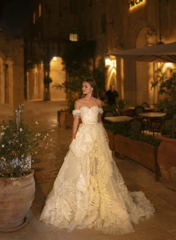 Chic And Unique Textured Silk Tulle Ball Gown by Neta Dover - Image 1