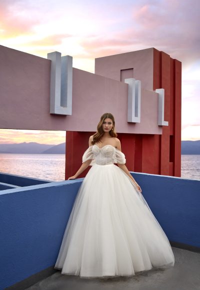 Ethereal And Simple Off-the-Shoulder Tulle Ball Gown With Buttons by Madison James