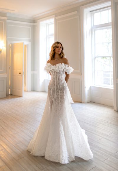 Romantic Off-The-Shoulder Modified A-Line Wedding Dress by Pnina Tornai