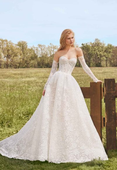 Chic And Romantic Strapless Lace Ball Gown With Detachable Sleeves by Alberto Palatchi