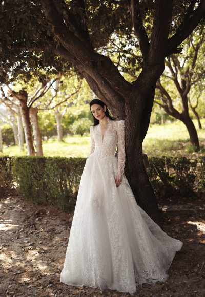 Romantic And Regal Embellished Long Sleeve A-Line Wedding Dress by Love by Pnina Tornai